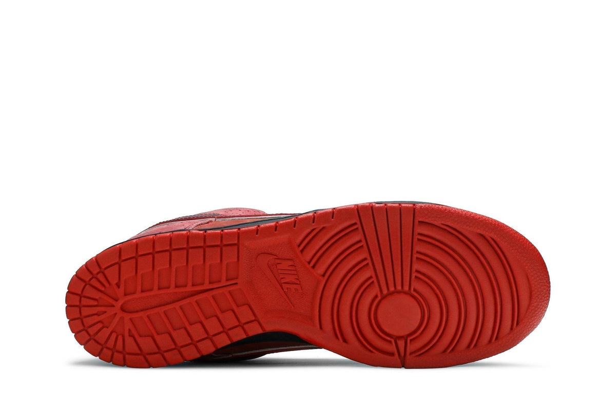 Dunk SB Low Red Lobster by Nike - product image from the listing.
