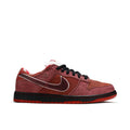 Dunk SB Low Red Lobster by Nike - product image from the listing.