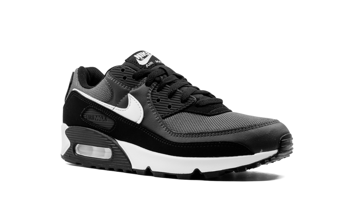 "Iron Grey" Air Max 90 CN8490 002 - product image from the listing.