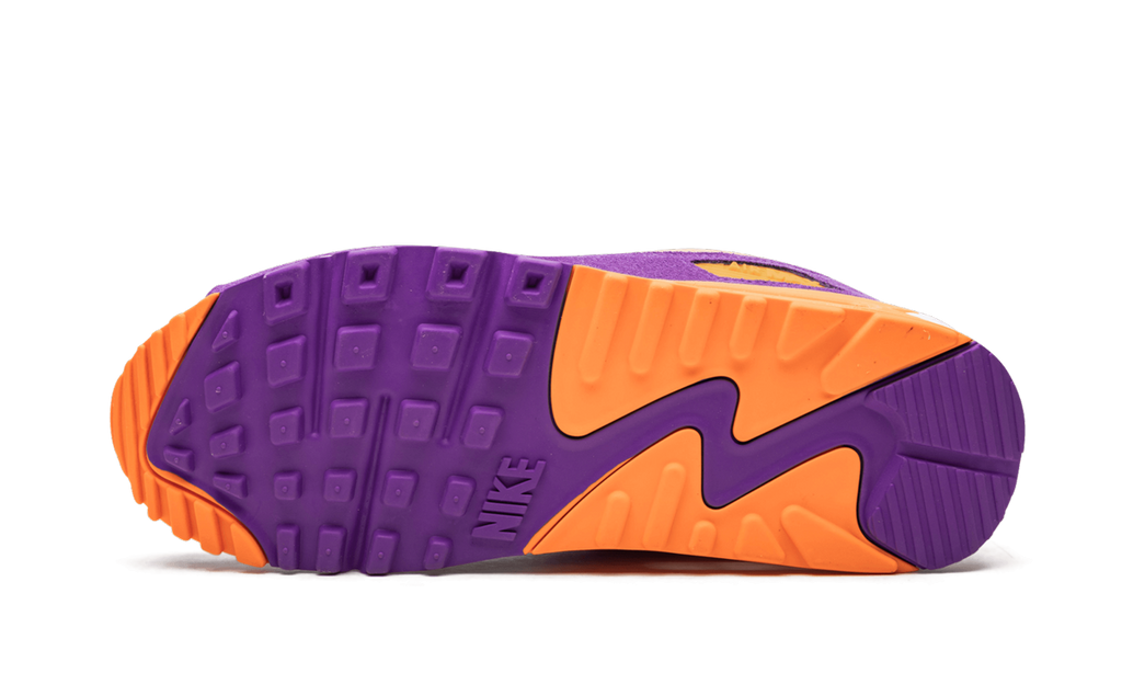 "Viotech" Air Max 90 CD0917 600 - product image from the listing.