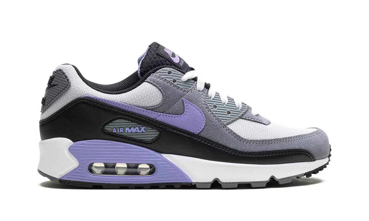 "Light Thistle" Air Max 90 DM0029 014 - product image from the listing.