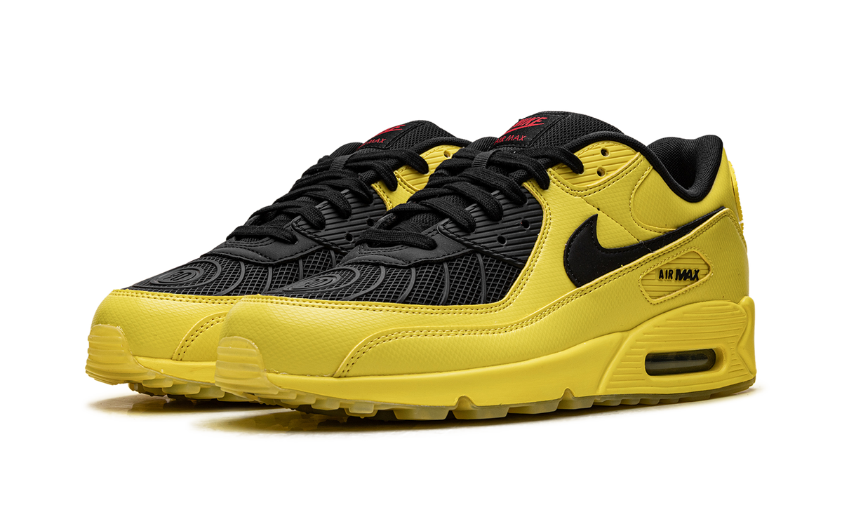 "Zest T90 Laser" Air Max 90 HJ0624 758 - product image from the listing.