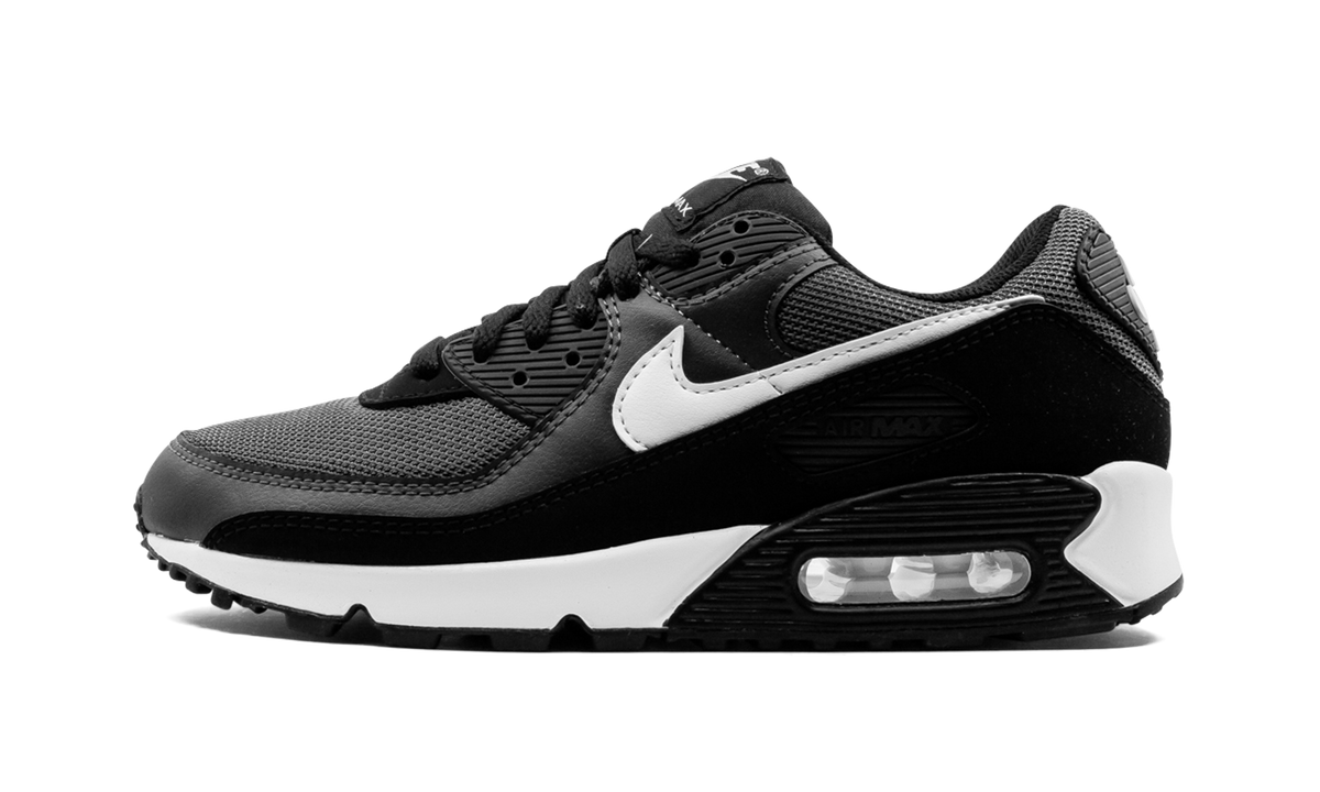 "Iron Grey" Air Max 90 CN8490 002 - product image from the listing.
