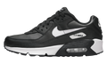 "Black White (2025)" Air Max 90 LTR GS CD6864 029 - product image from the listing.