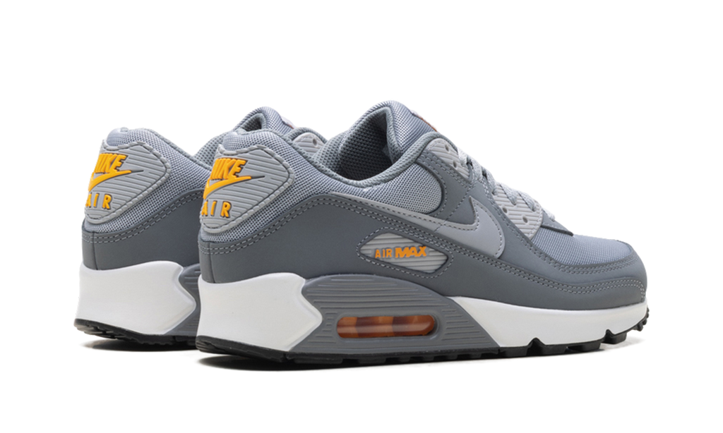 "Cool Grey Sundial" Air Max 90 HV6224 002 - product image from the listing.