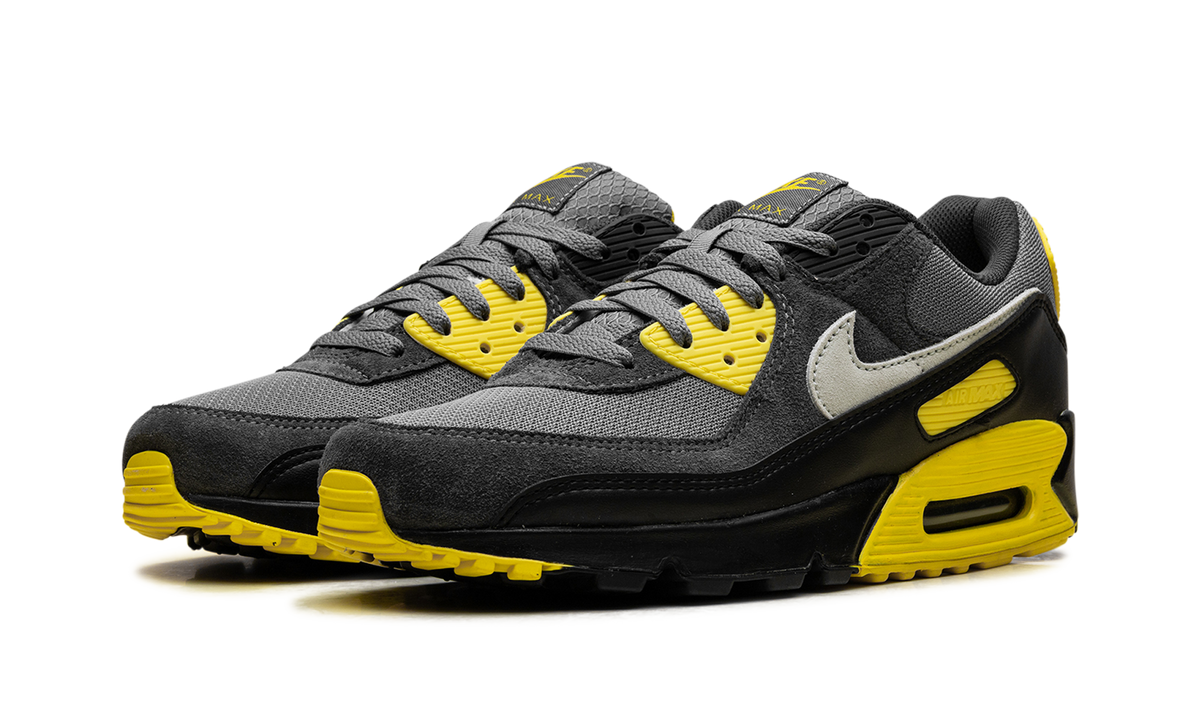 "Smoke Grey Lightning" Air Max 90 DM0029 016 - product image from the listing.