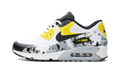 "Oregon" Air Max 90 Premium DB AH6830 100 - product image from the listing.