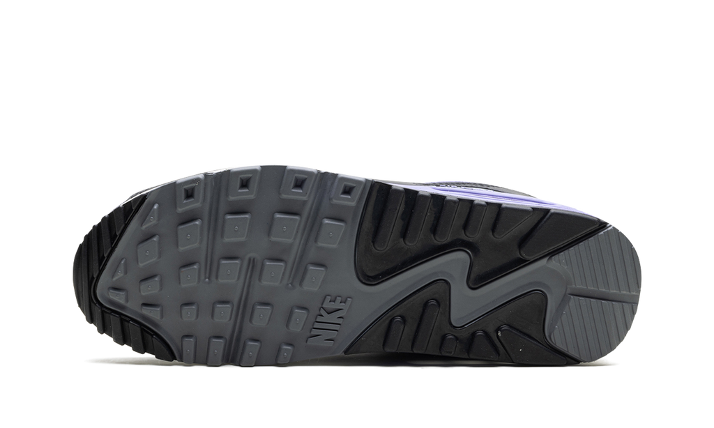 "Light Thistle" Air Max 90 DM0029 014 - product image from the listing.