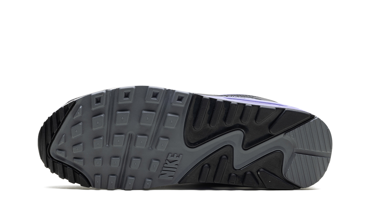 "Light Thistle" Air Max 90 DM0029 014 - product image from the listing.