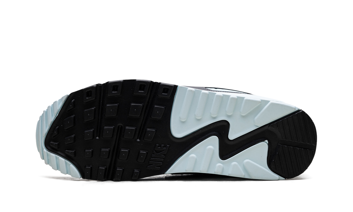 "Pumice" Air Max 90 DM0029 009 - product image from the listing.