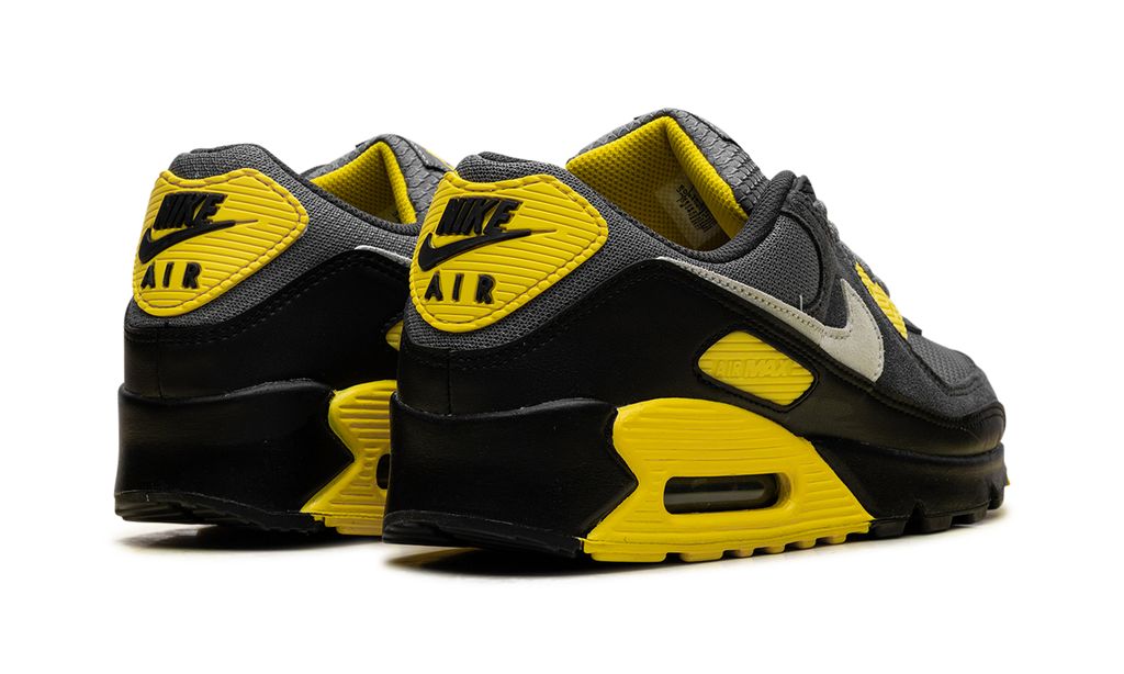 "Smoke Grey Lightning" Air Max 90 DM0029 016 - product image from the listing.
