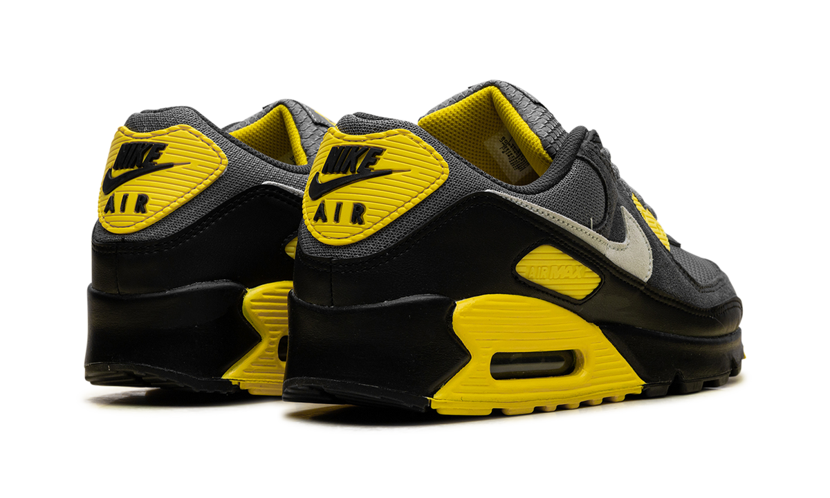 "Smoke Grey Lightning" Air Max 90 DM0029 016 - product image from the listing.