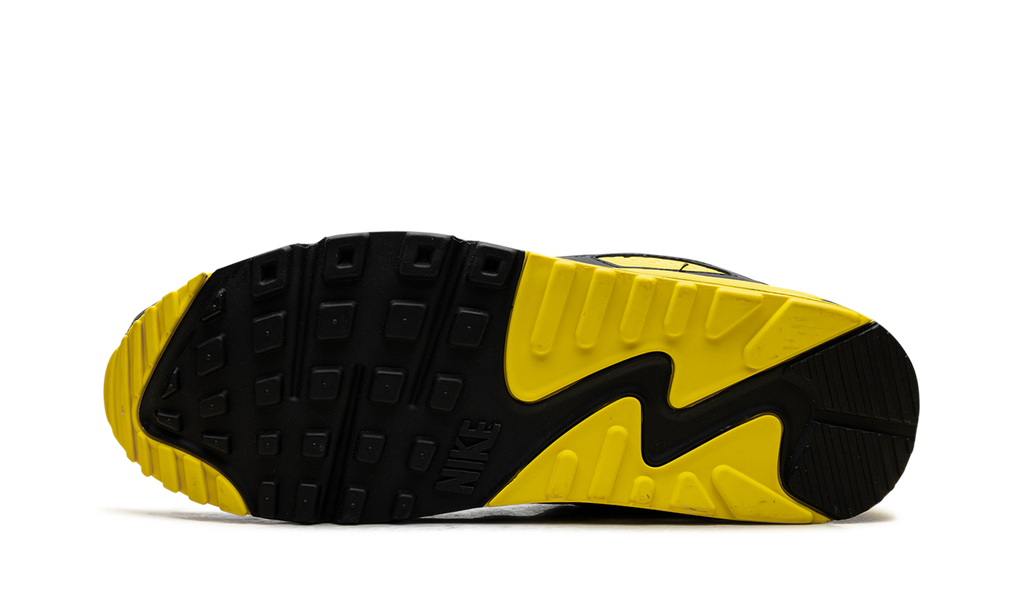 "Smoke Grey Lightning" Air Max 90 DM0029 016 - product image from the listing.