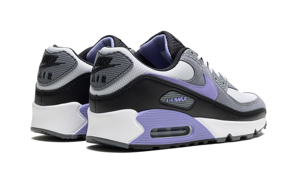 "Light Thistle" Air Max 90 DM0029 014 - product image from the listing.