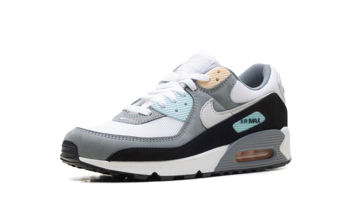 "Cool Grey Pure Platinum Black" Air Max 90 IB7674 001 - product image from the listing.
