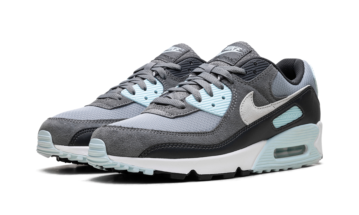 "Pumice" Air Max 90 DM0029 009 - product image from the listing.