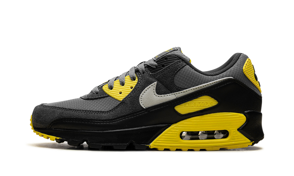 "Smoke Grey Lightning" Air Max 90 DM0029 016 - product image from the listing.