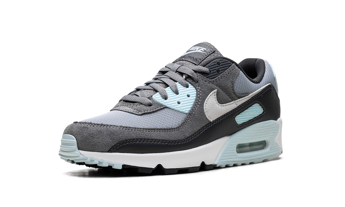 "Pumice" Air Max 90 DM0029 009 - product image from the listing.